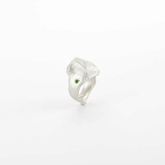 ghost ring 003